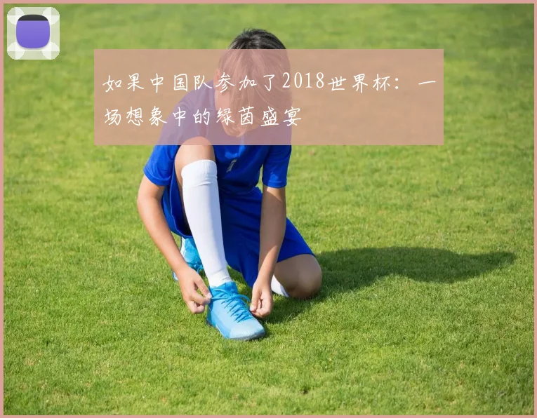 如果中国队参加了2018世界杯:一场想象中的绿茵盛宴