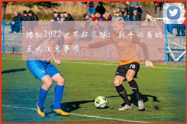 揭秘2022世界杯买球：新手必看的五大注意事项