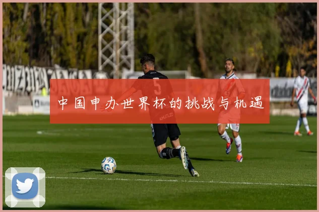 中国申办世界杯的挑战与机遇