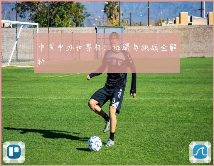 中国申办世界杯：机遇与挑战全解析