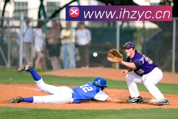 星空体育在线登录网页平台生态图